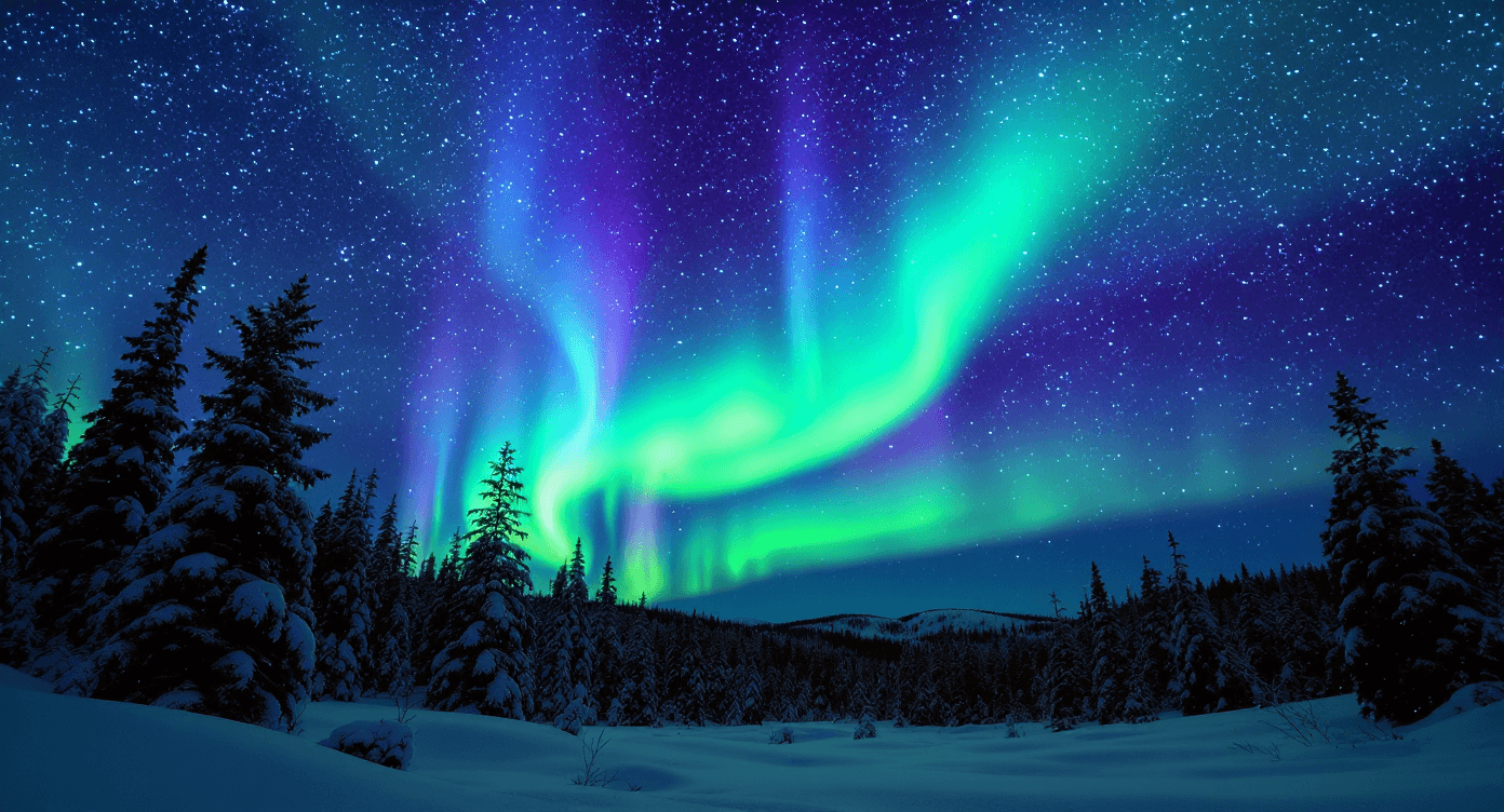 Aurora Forest